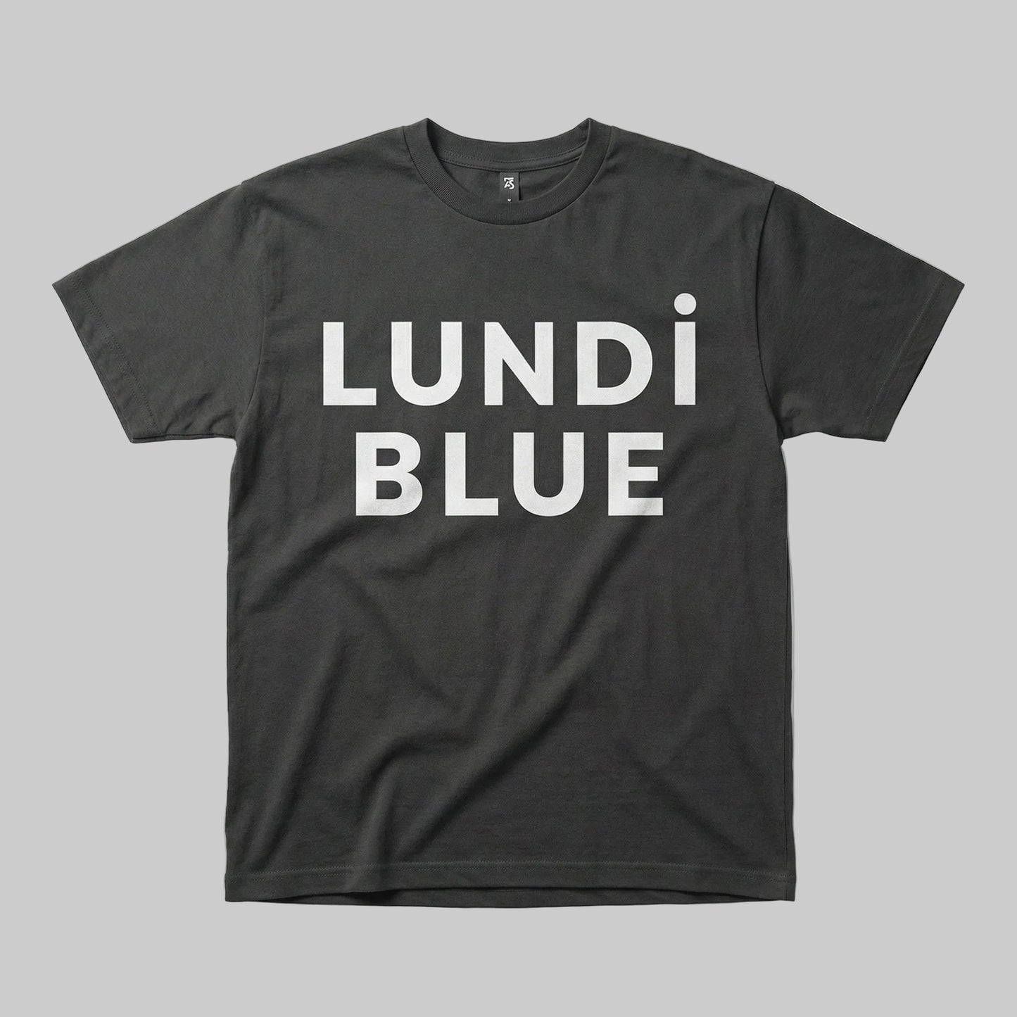 Lundi Blue White Logo 280 GSM Premium Cotton Heavyweight Boxy Tee