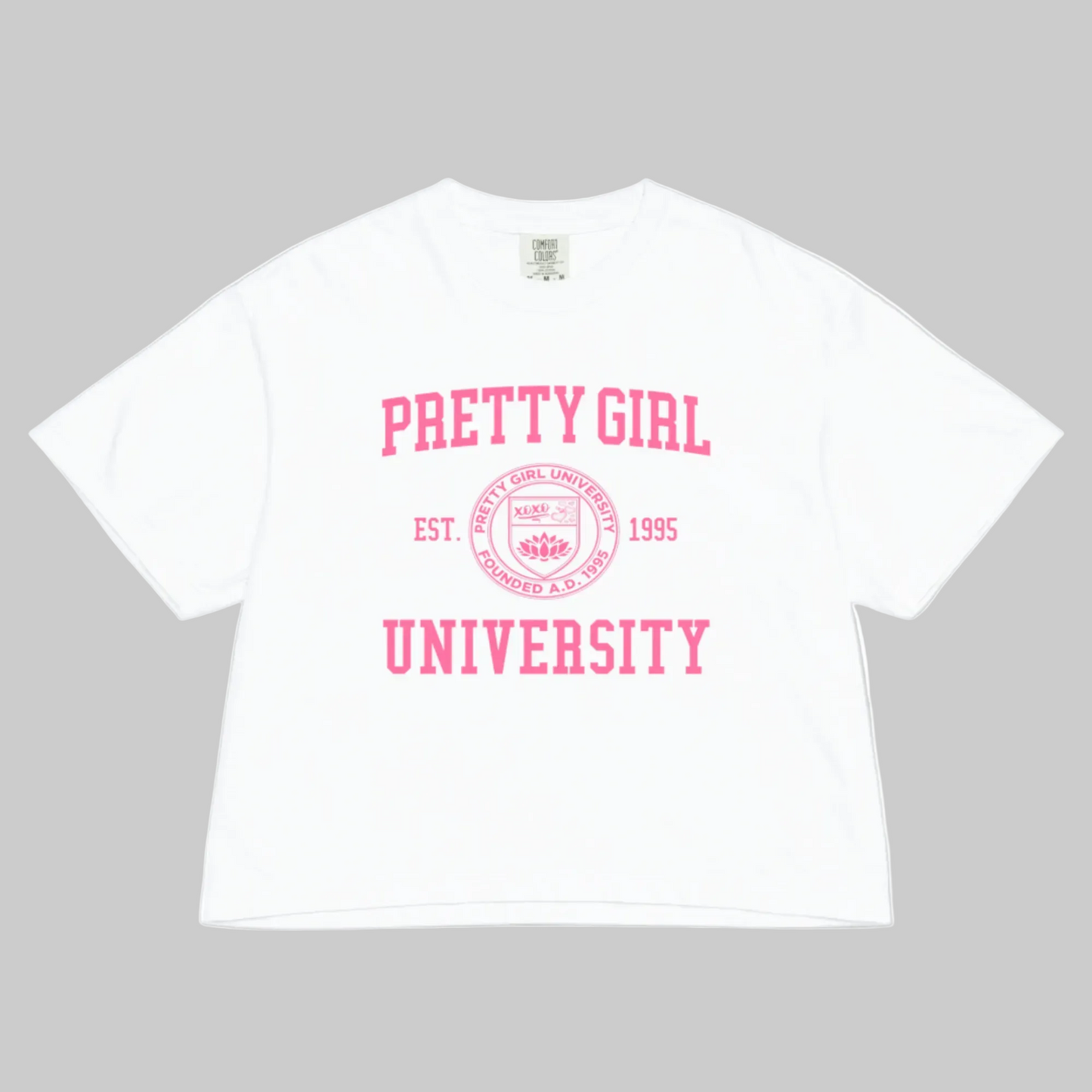 Pretty Girl University 207 GSM Premium Cotton Women’s Heavyweight Boxy Tee